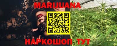 стафф Новодвинск