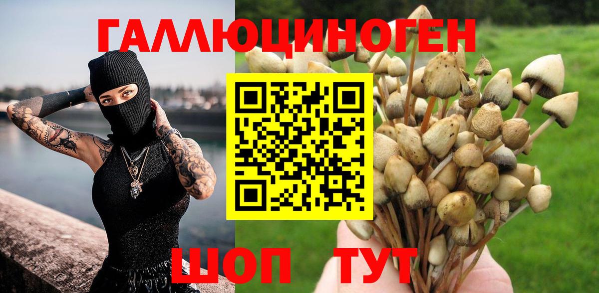 Галлюциногенные грибы Psilocybine cubensis Спасск-Дальний